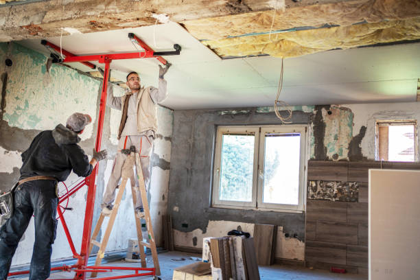 Best Eco-Friendly Insulation in Colfax, LA