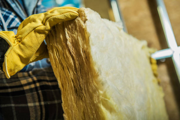 Types of Insulation We Offer in Colfax, LA