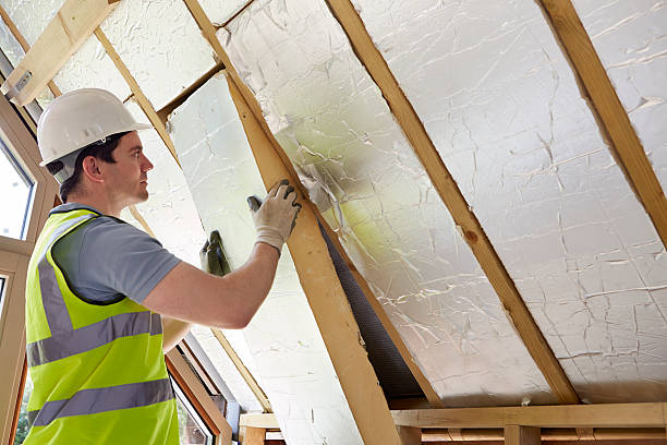 Best Cellulose Insulation in Colfax, LA