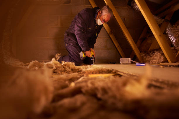 Best Specialized Insulation Services in Colfax, LA