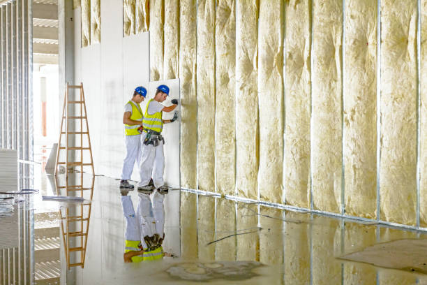 Best Blown-in Insulation in Colfax, LA